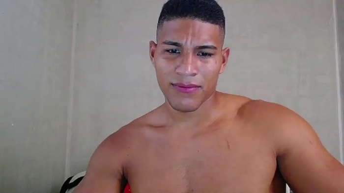 teddy-fit