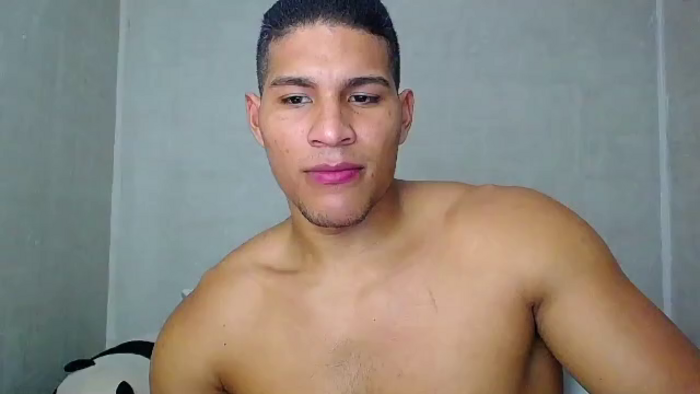 teddy-fit