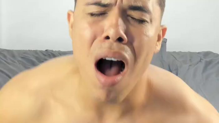 chris-harank