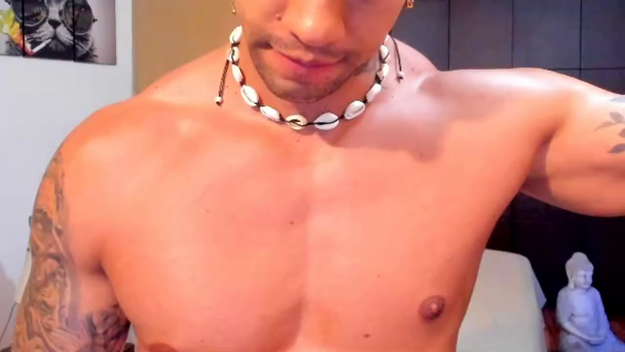 tomy-maylon