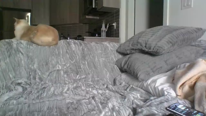 izzi