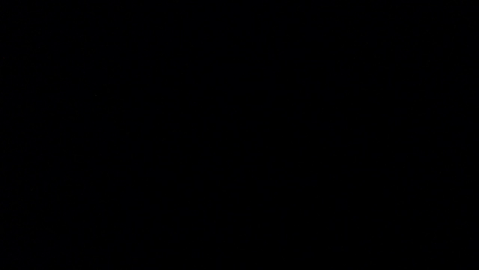 jackk-nastee