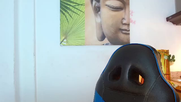 max-turneer