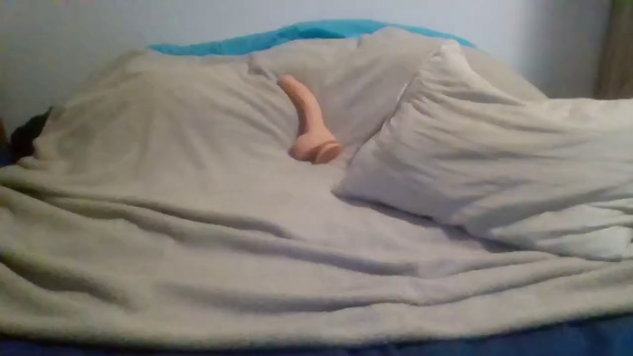 mike-noley