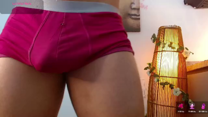max-turneer
