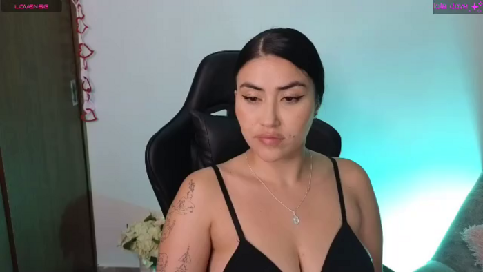 lola-dove