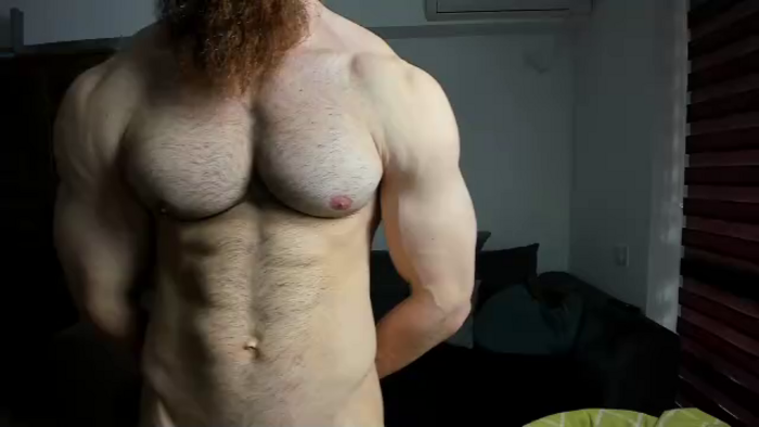 zack-blitz