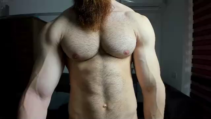 zack-blitz