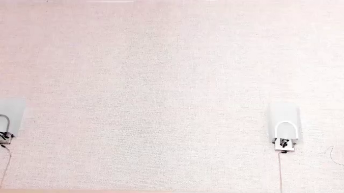 mistyc-colis