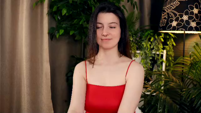 marine-delphin