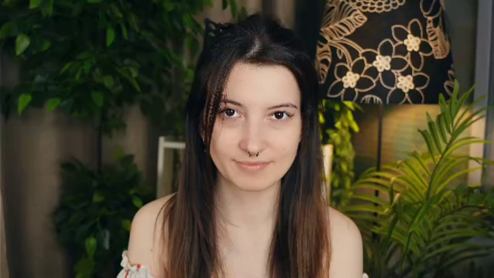 marine-delphin