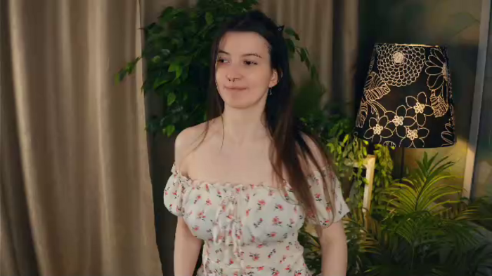 marine-delphin