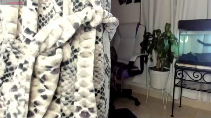 kaylle-vries