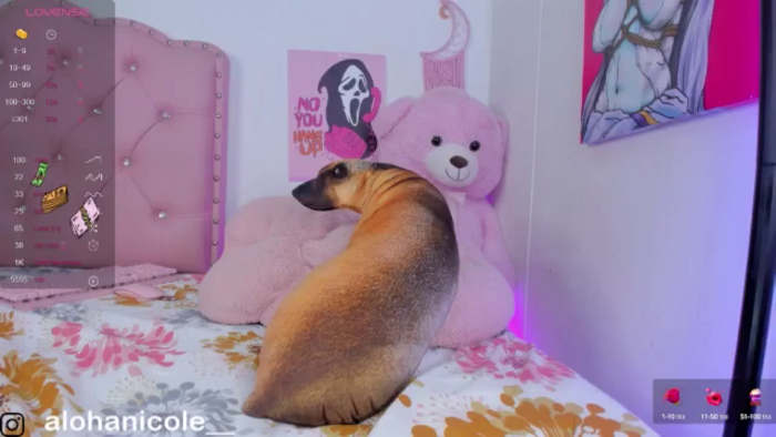 Sweet_Karen_