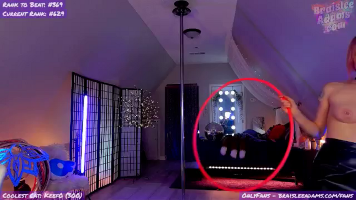 BraisleeAdams