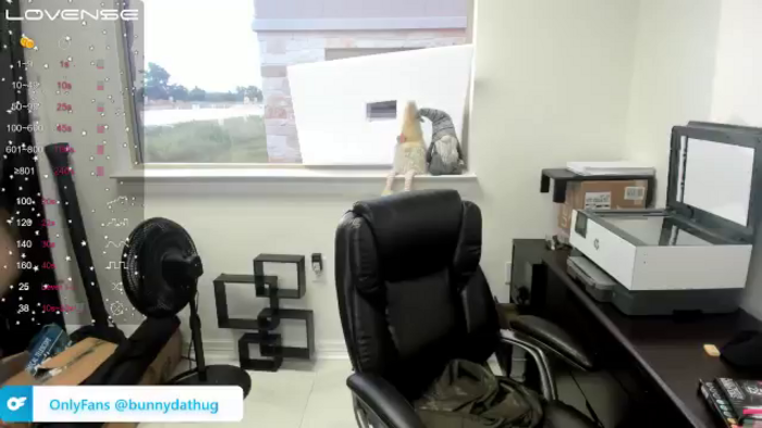 Bunnydathug