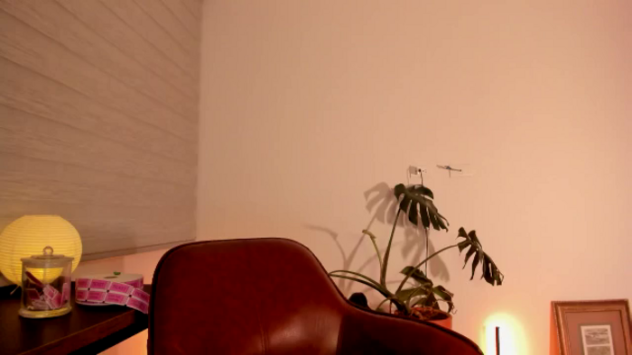 Lindsoft