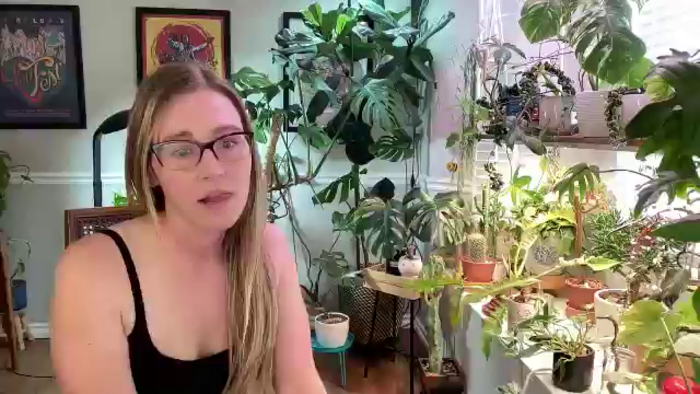 SweetbratKate