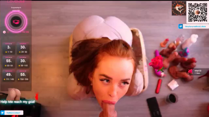 Redhead_Shark