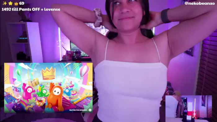 Nekobeanxo