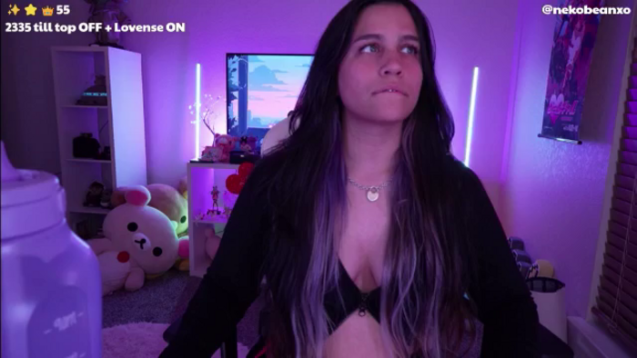 Nekobeanxo