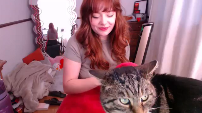 KittyCash3w