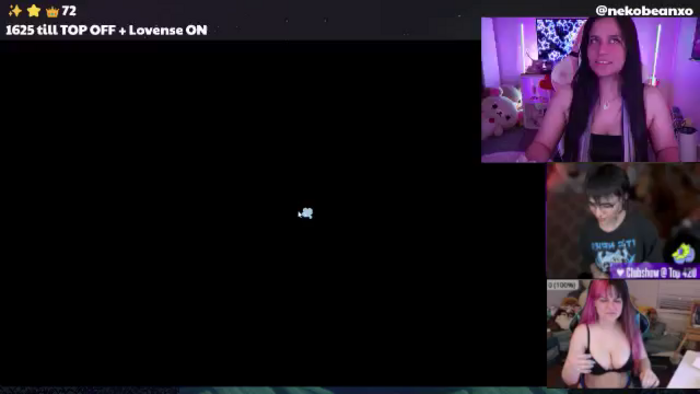Nekobeanxo