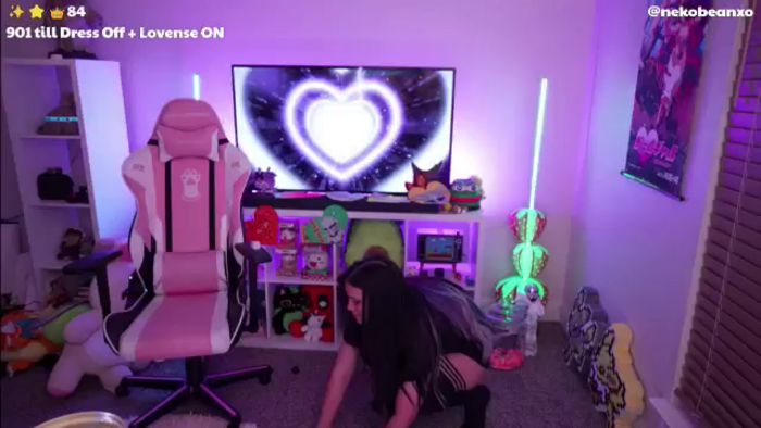 Nekobeanxo