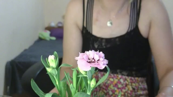 AmethystCharm