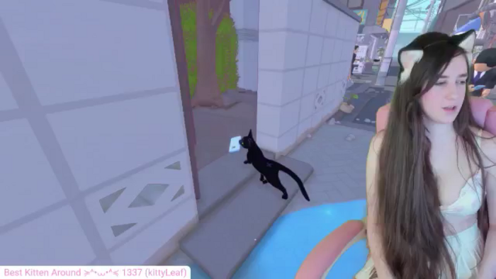 Kitty