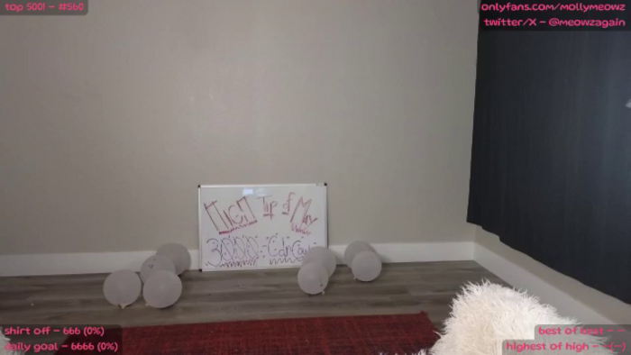 MollyMeowz