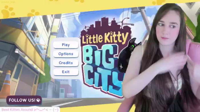 Kitty