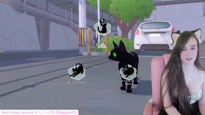 Kitty