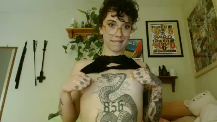 the_salemnox