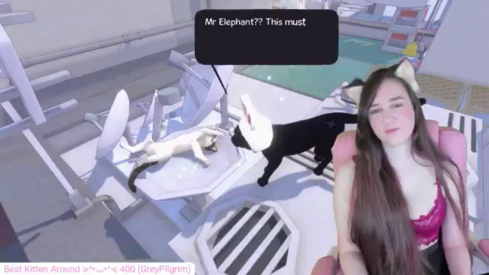 Kitty