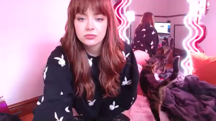 KittyCash3w