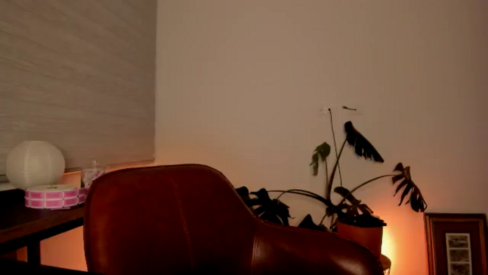 Lindsoft
