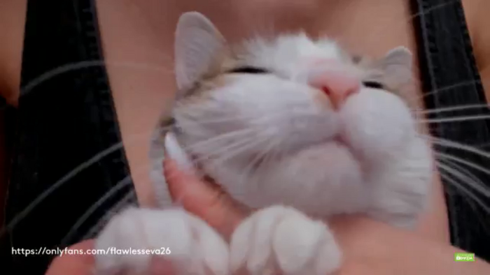 Meow_S