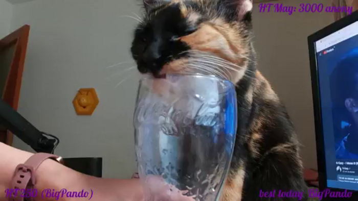 PumpkinSpice
