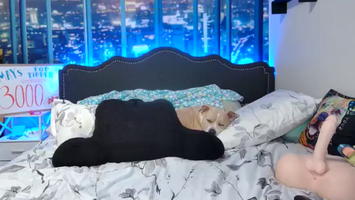 Rose_Kitten