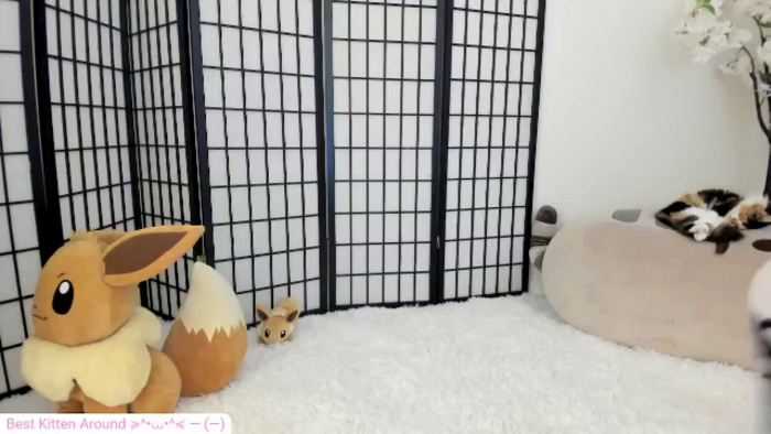 Kitty