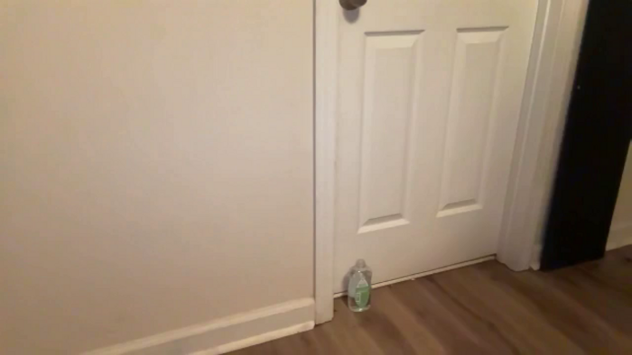 AshleyStar01