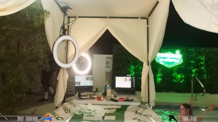 Dashy