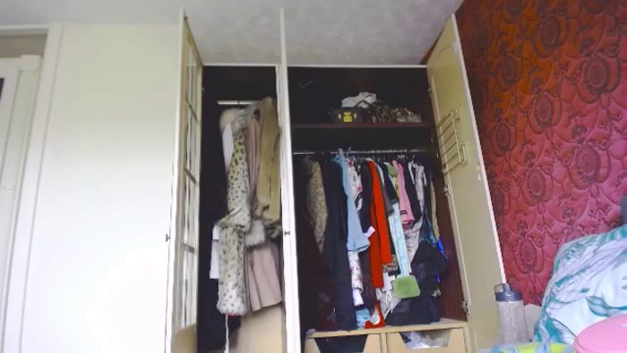 Viola__