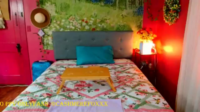 CashmereFoxxx