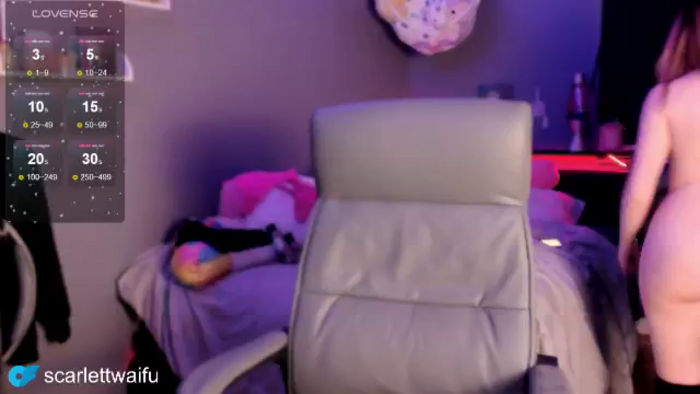 PetitePet