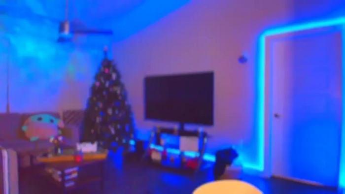 Sammy_gray