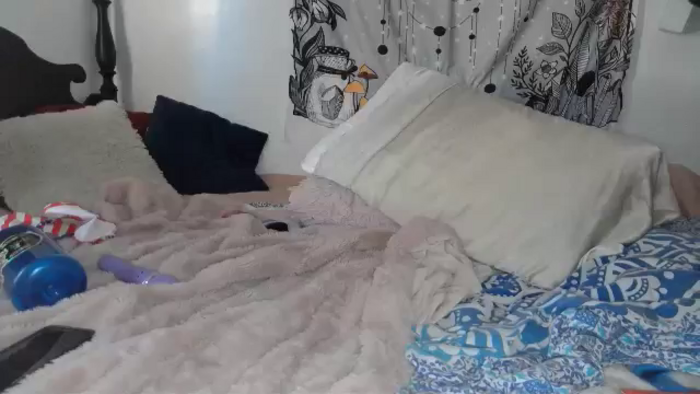 TrollopTaylor