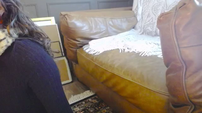 Viola__