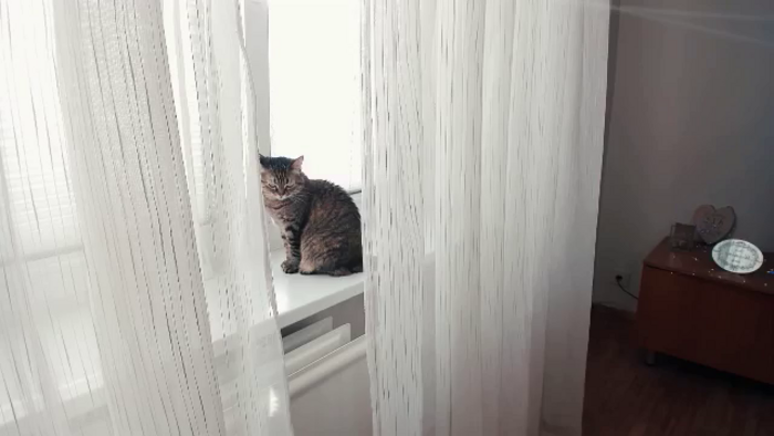 Caatarinyya